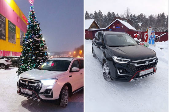 Подведены итоги новогоднего фотоконкурса
в фан-клубе VGV